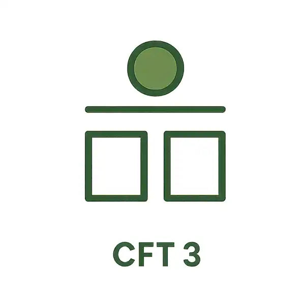 Test Inteligencji- CFT3